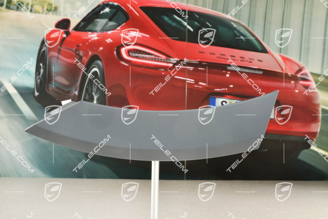 Turbo S, Wide Wheel Arch, rear, middle part, L