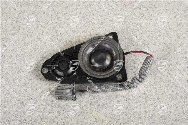 Loudspeaker High Pitch Range, Rear Door