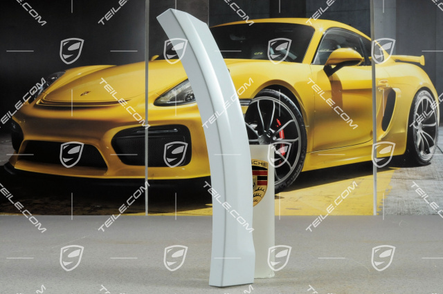 Wheel cover for front bumper, GT2 RS, R