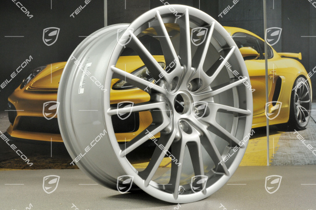 20" Felga Panamera Sport, 9,5J x 20 ET65, GT silver metallic