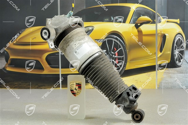 Federbein, komplett, V6 3.2L 177KW, R Federbein, komplett, V6 3.2L 177KW, R