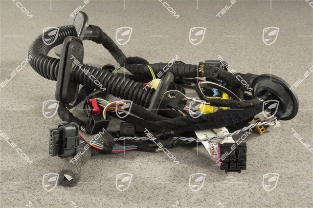 Spyder, Wiring harness passenger's door assembly frame, power windows, Sound package basic, L