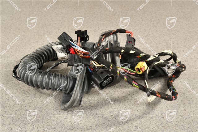 Wiring harness passenger's door assembly frame / sound package 1