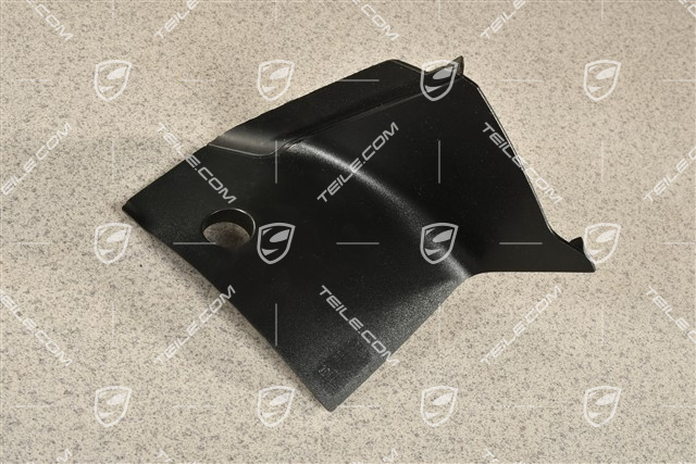 Tail light trim, R