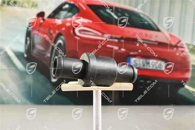 Check / Bleeder valve