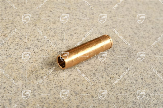 Valve guide