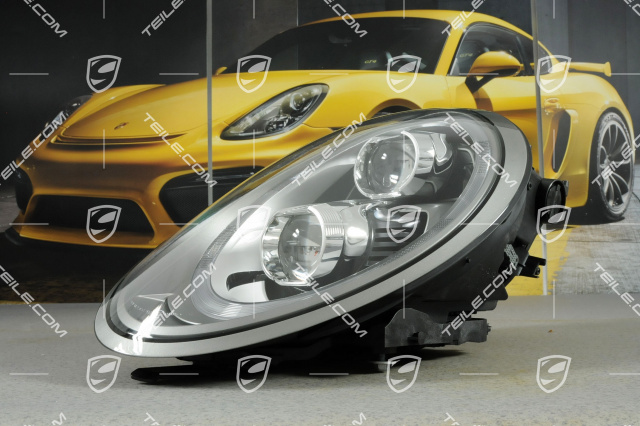 LED headlights, without control unit and bulb, L