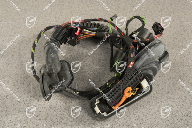 Rear door wiring harness, Bose, L=R