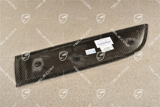 Rear door cover / trim, Carbon matt, R