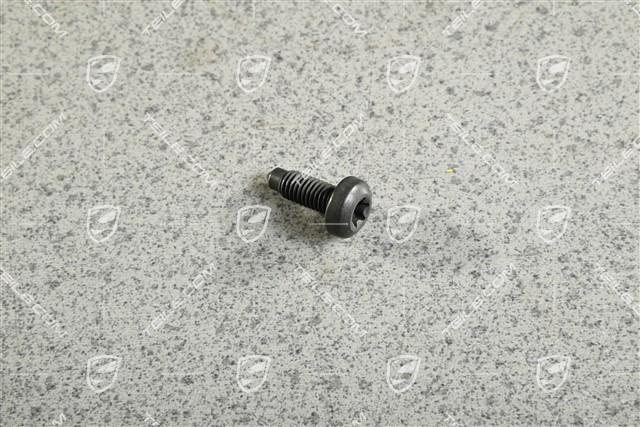 Torxschraube M8 x 22 Torxschraube M8 x 22