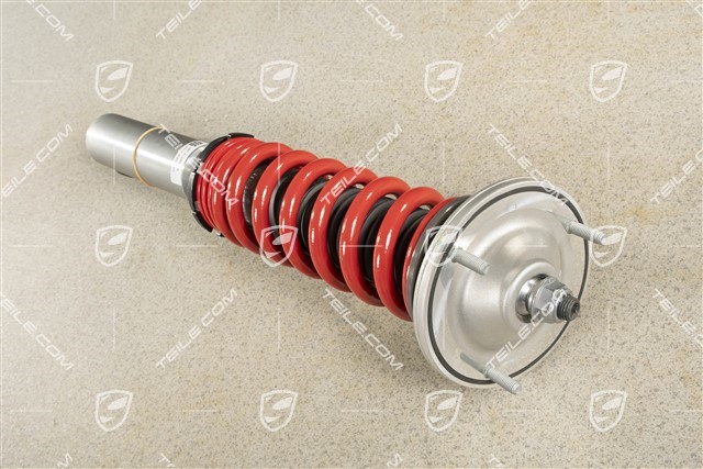 Shock absorber / Vibration damper,  complete, PASM, rear axle, GT4, L=R