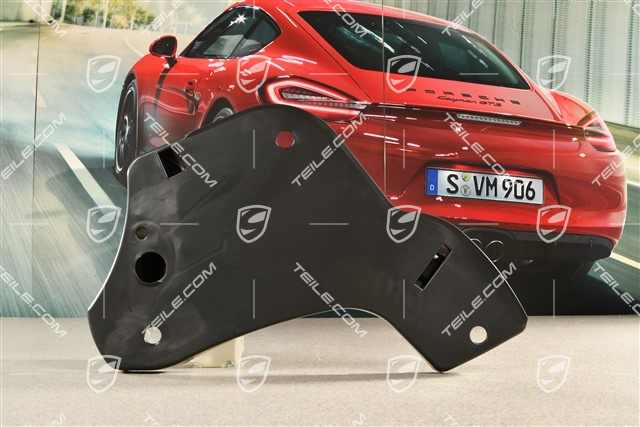 Cover, wishbone, rear, L