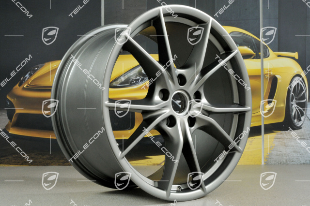 20" Felga Carrera S (IV), 11J x 20 ET78, do 991.2 C2/C2S / do użytku z zimowymi oponami, platynowy sa