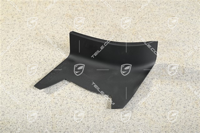 Rear light cover, outer, L