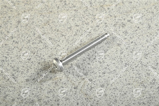 Pan / Oval-head screw M6 x 55, Alu Pan / Oval-head screw M6 x 55, Alu