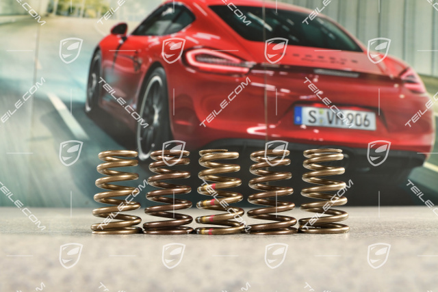 Exhaust valve, Valve spring M96.03 / 05, M97.01 / 20 / 21 / 22