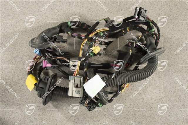 Wiring harness passenger's door assembly frame, power windows, Bose, R