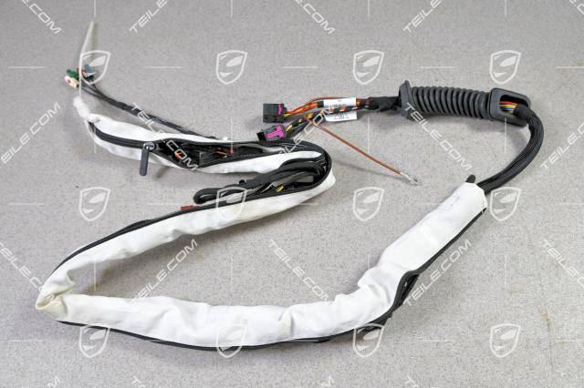 Wiring Harness, rear lid, L