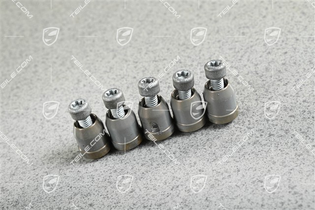 GT3 / GT3RS / GT2RS / Speedster, Befestigungsteile für Bremsscheibe Zentralverschluss