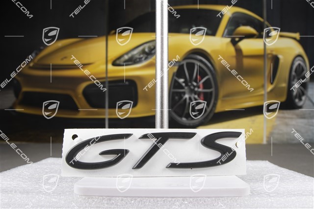 Logo "GTS", black