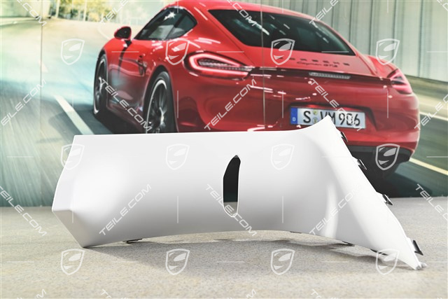 Fender / wing trim cover, GT3 RS, R