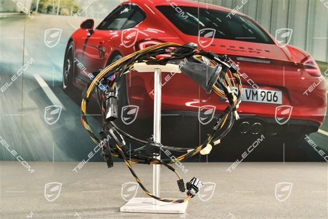 Tailgate wiring harness, R
