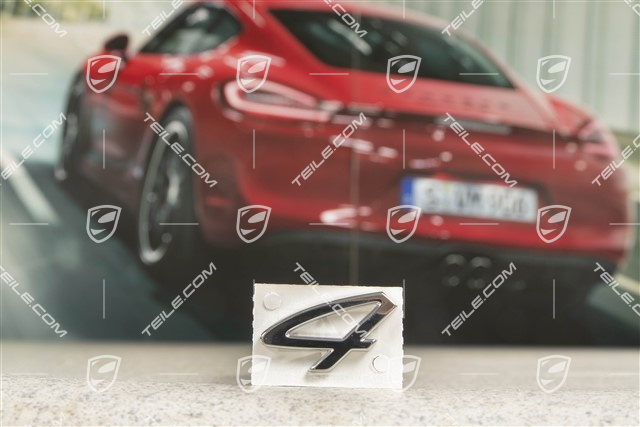 Badge / Emblem 4