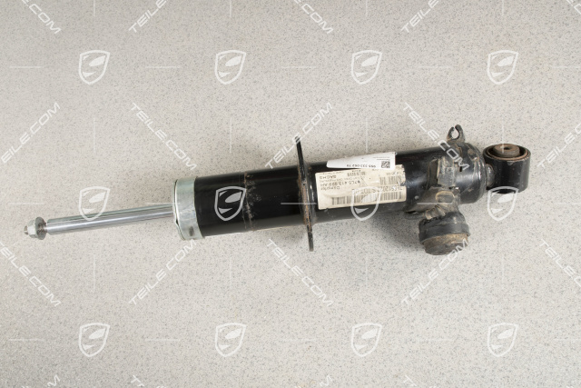 Shock absorber, rear axle, PASM / V8, R