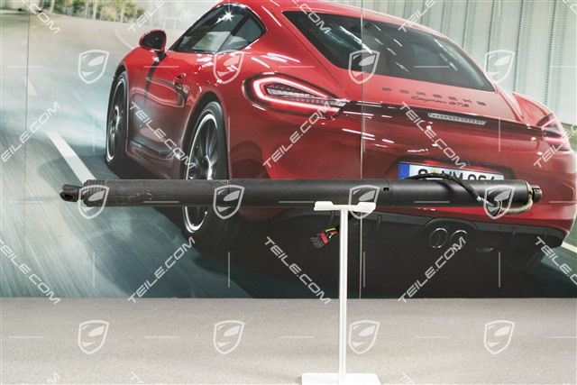 Damper cylinder Trunk / boot lid / automatic closing option / Powerlift