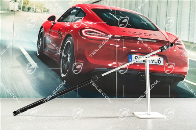 Gasdruckfeder, R
