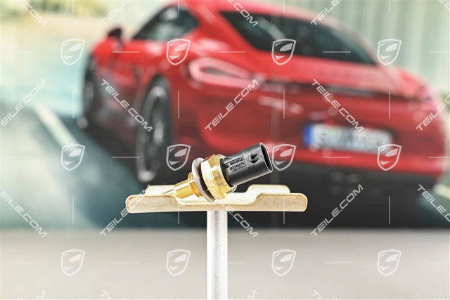 Temperatursensor
