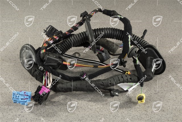 Wiring harness Drivers door assembly frame, power windows, High end sound package, L