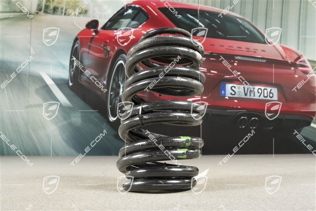 TEILE.COM | Schraubenfeder, HA, PASM, Sportfahrwerk C2/C2S Coupe 