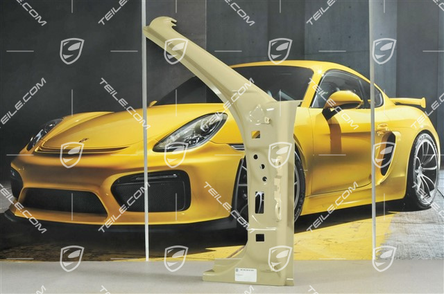 Hinge pillar, R Hinge pillar, R