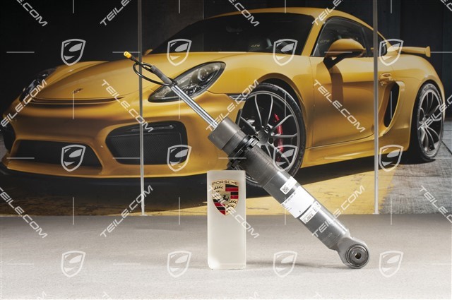 Shock absorber / Vibration damper,  Rear axle, PASM, GT3RS, L=R