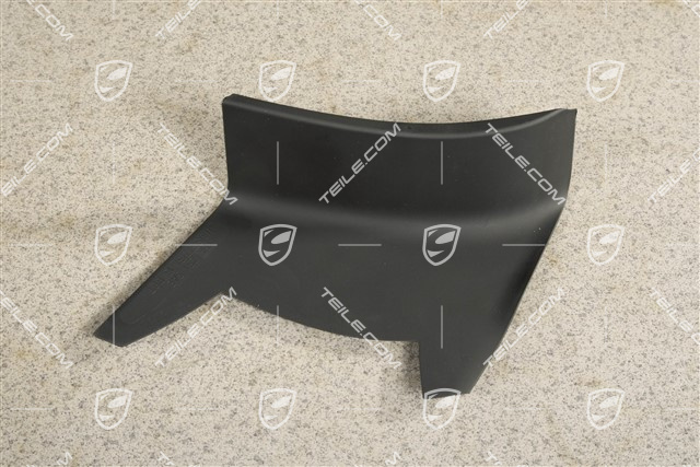 Rear light cover, outer, R