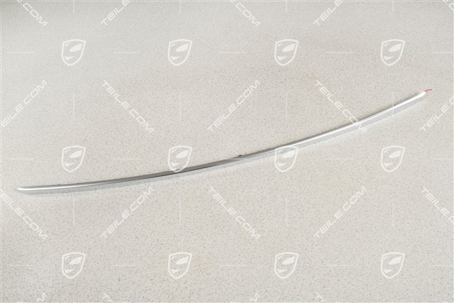 Trim strip for tailgate, Chromed