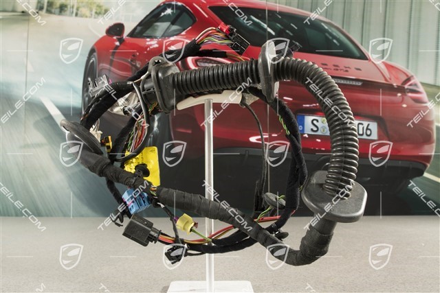 Spyder, Wiązka instalancji elektrycznej drzwi pasażera, L