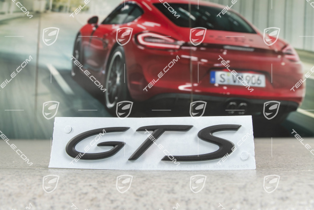 Logo "GTS", black