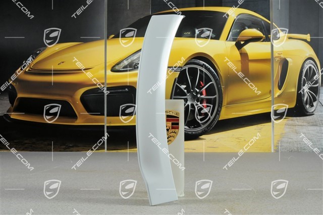 Wheel cover for front bumper, GT2 RS, L
