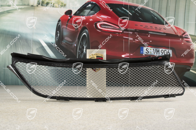 GT3 Grille lining rear, L