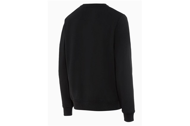 Unisex sweatshirt, Fanwear L collection