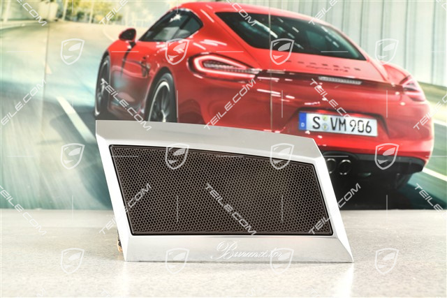Loudspeaker cover, dashboard trim, BURMESTER, Espresso, R