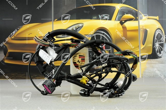 Wiring harness, sub-part, front, it is necessary to rework, Xenon, R
