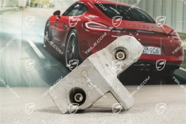 3,0L TDI, Rear differential damper