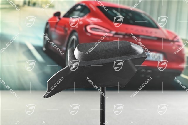 Tail light trim, L