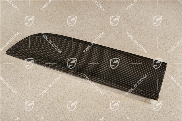 Rear door cover / trim, Carbon Gloss Black, L