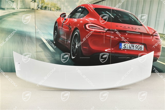 Spoiler / wing