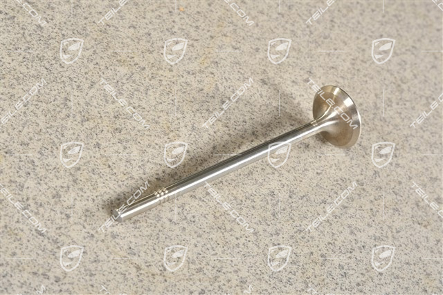 Exhaust valve