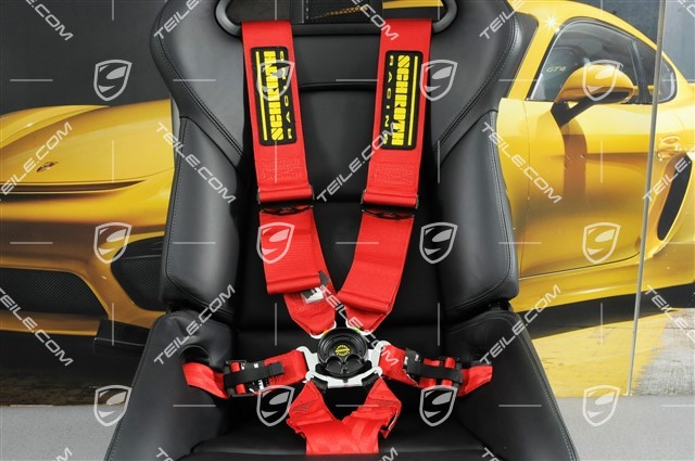 Schroth Profi 3x2 - 6 point seatbelts